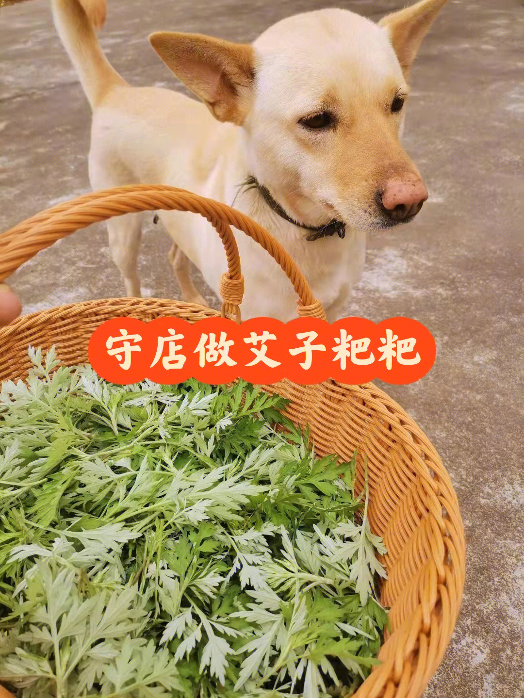 永州艾子粑粑