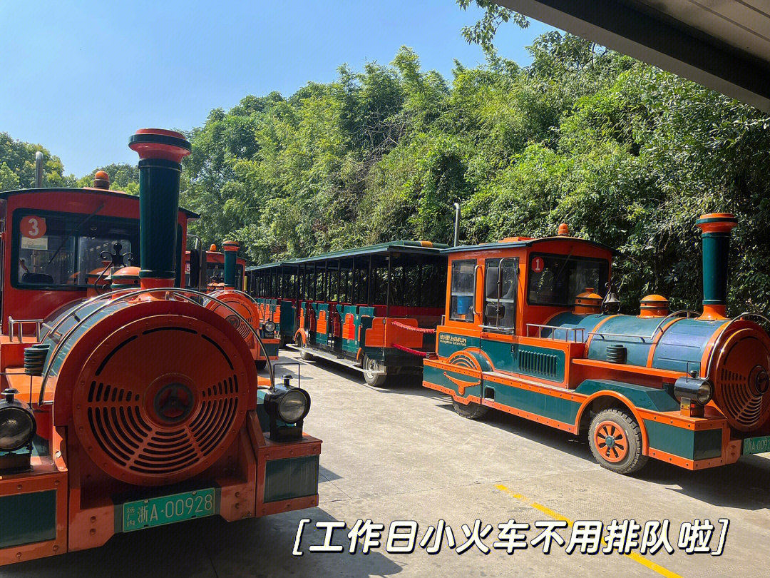 杭州野生动物园电瓶车图片