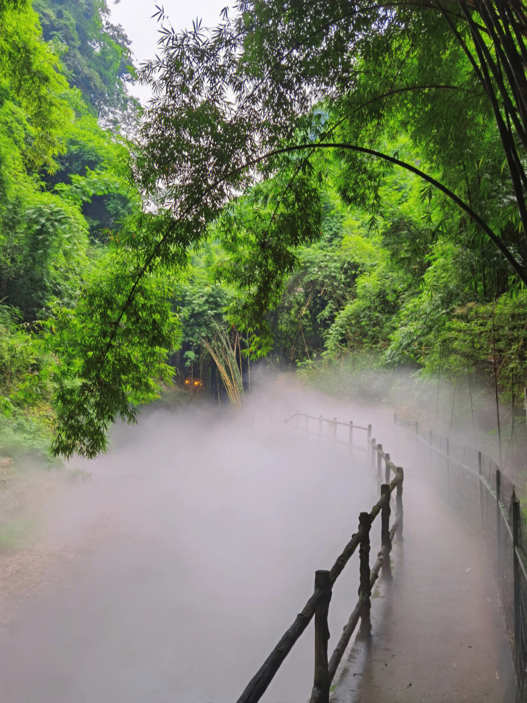 川西竹海简介图片