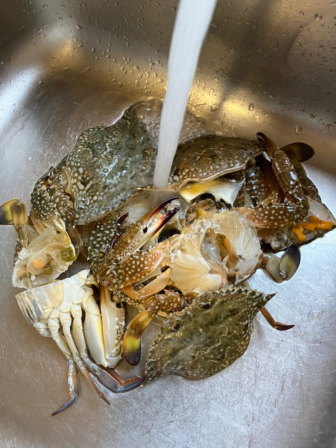 好久没吃螃蟹了0215,今天吃姜葱兰花蟹0215,超级鲜的味道,一