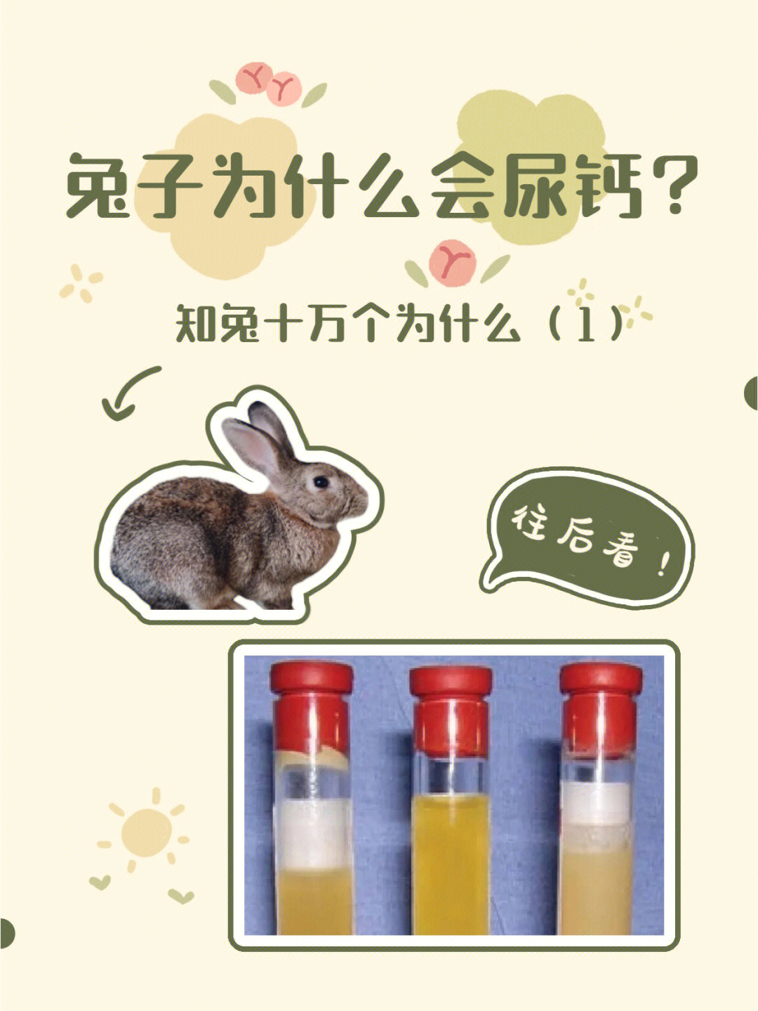 当你看到兔子的尿液很混浊时,你是不是很担心?
