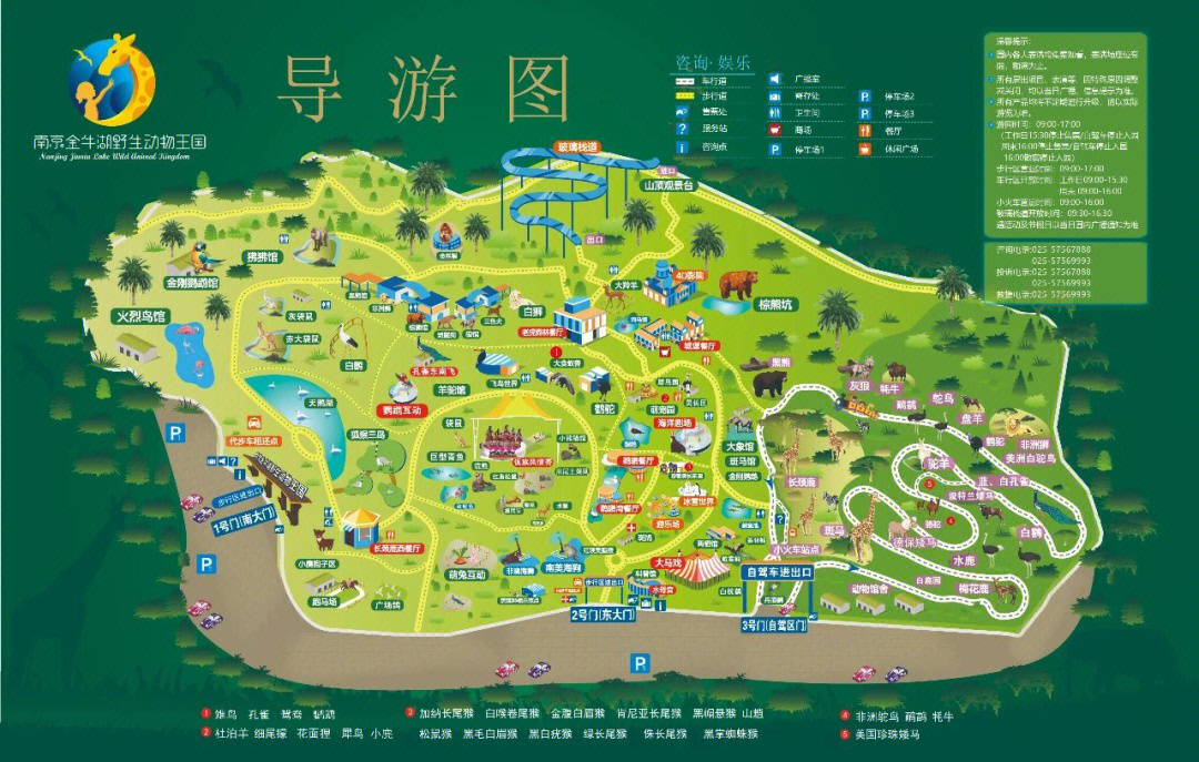 赣州市动物园导游图图片