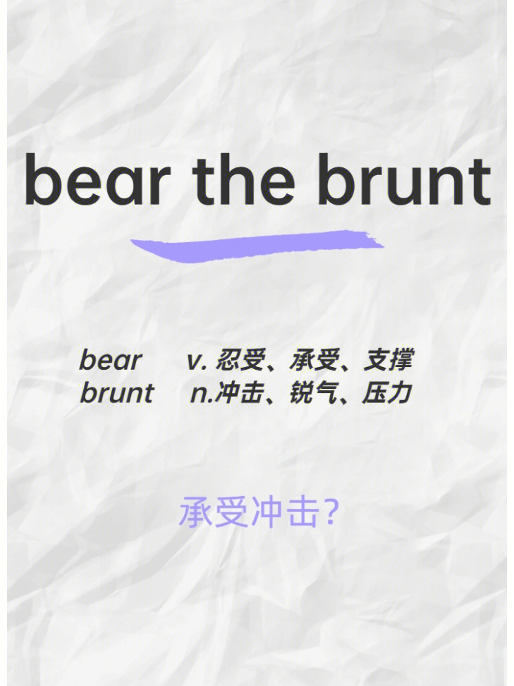 bear什么意思图片