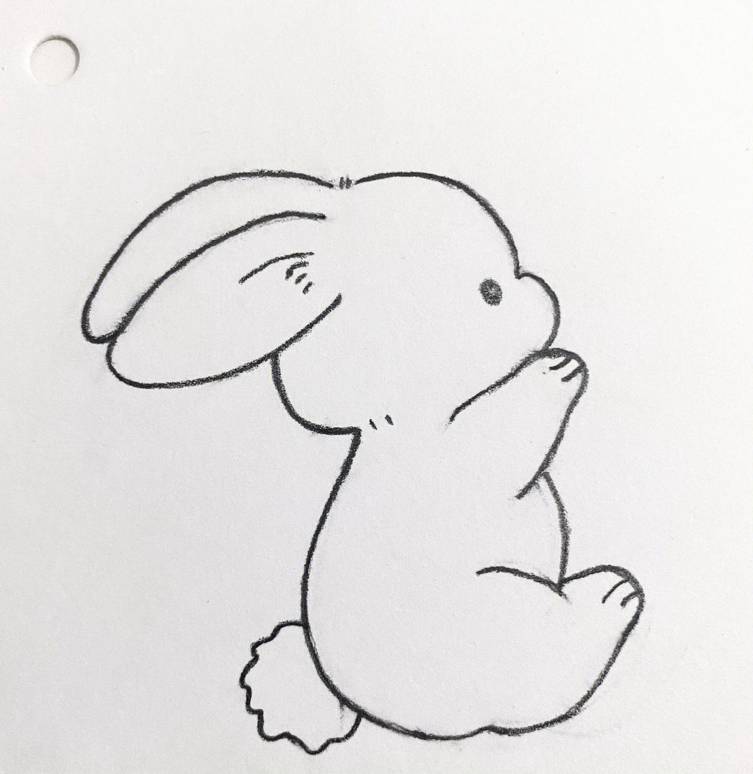 小白兔简笔画 胡萝卜图片
