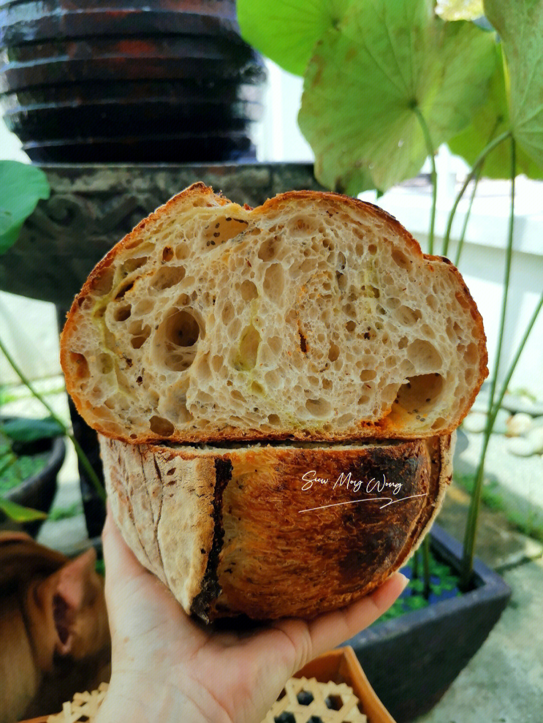 酸种欧包sourdough