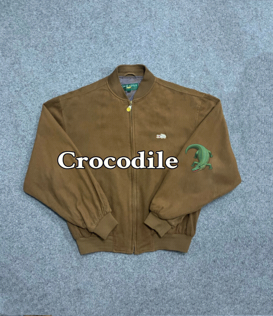 crocodilebird图片