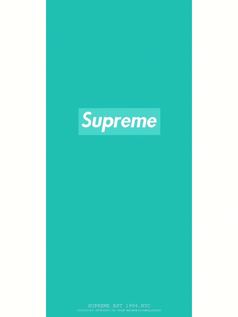 supreme砖图片