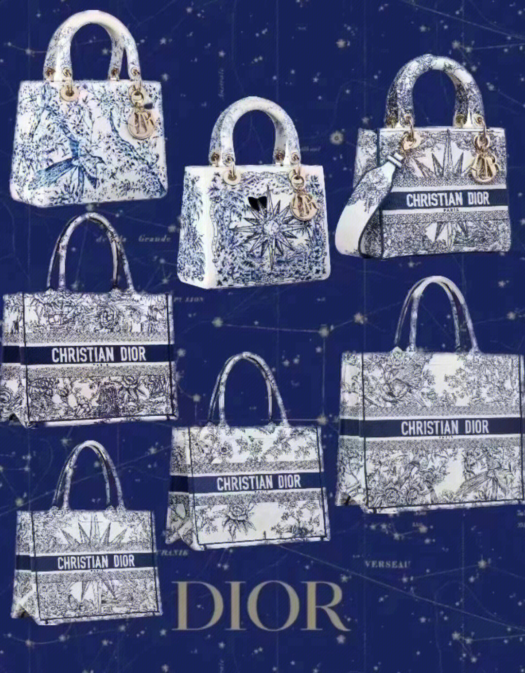 dior2022早春系列包包图片