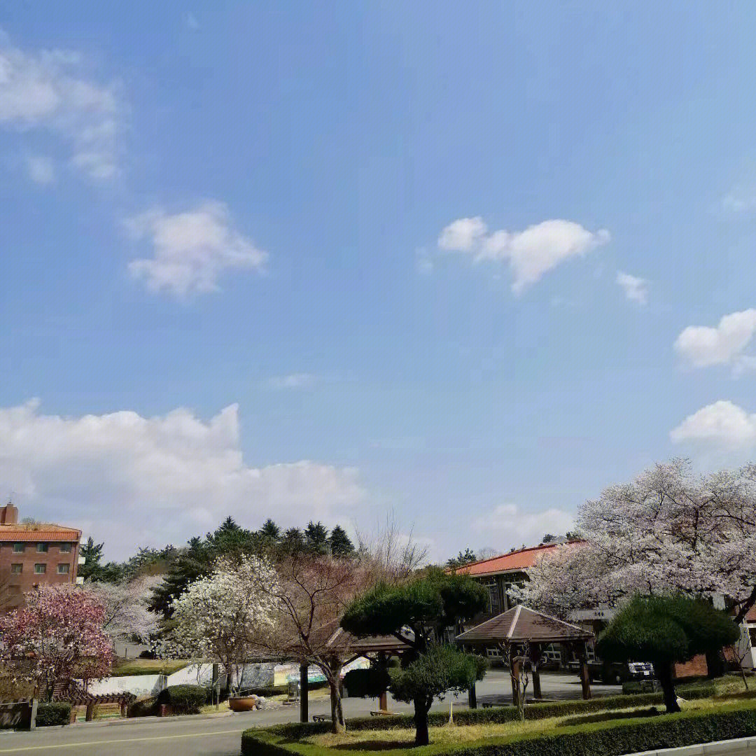 大邱保健大学图片