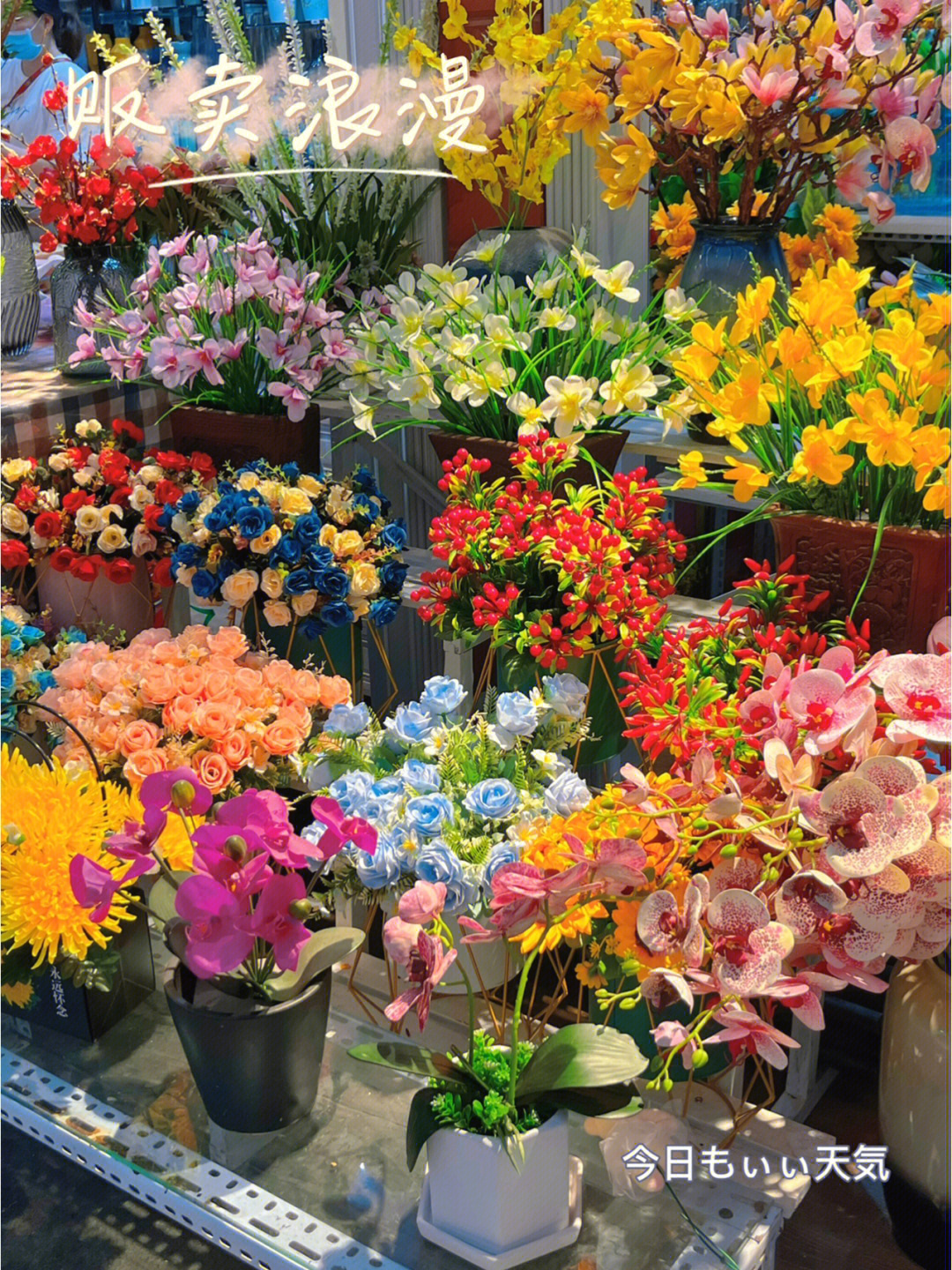 郑州西区花卉市场图片