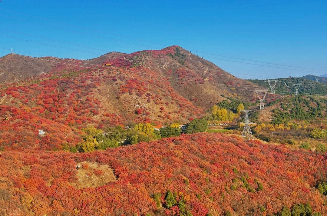 北京红叶季错峰舞彩浅山