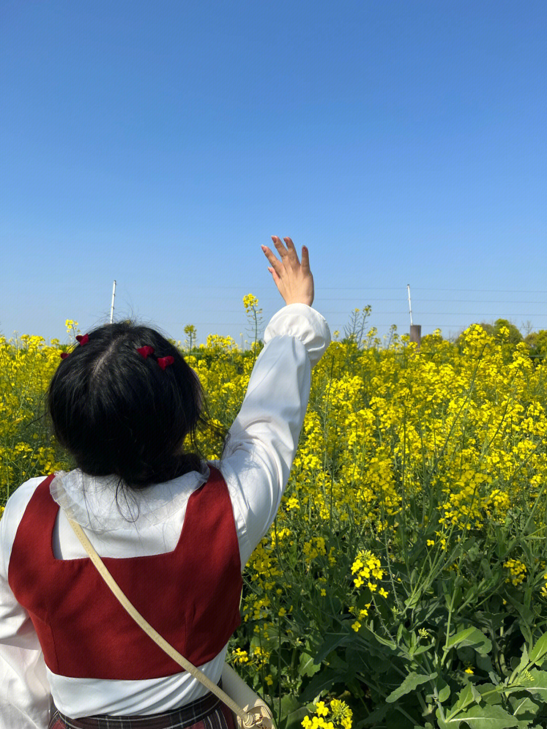 春天出游图片图片