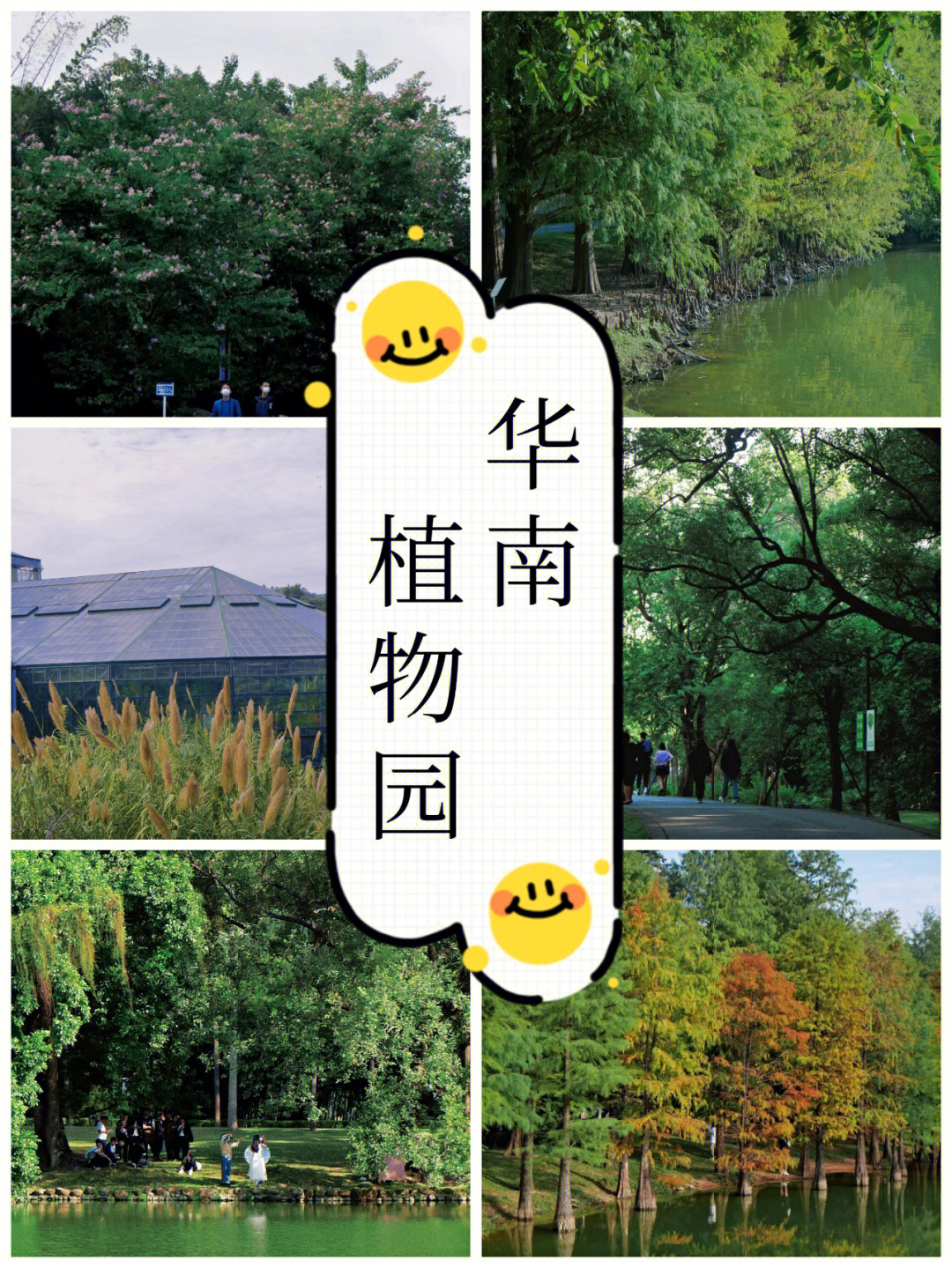 华南植物园介绍图片