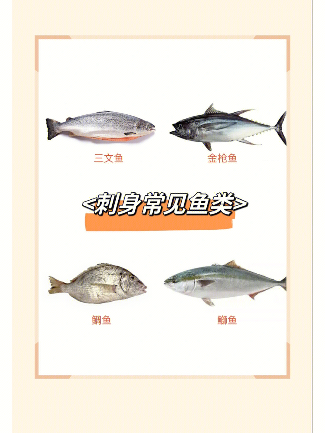 生鱼片品种图解图片