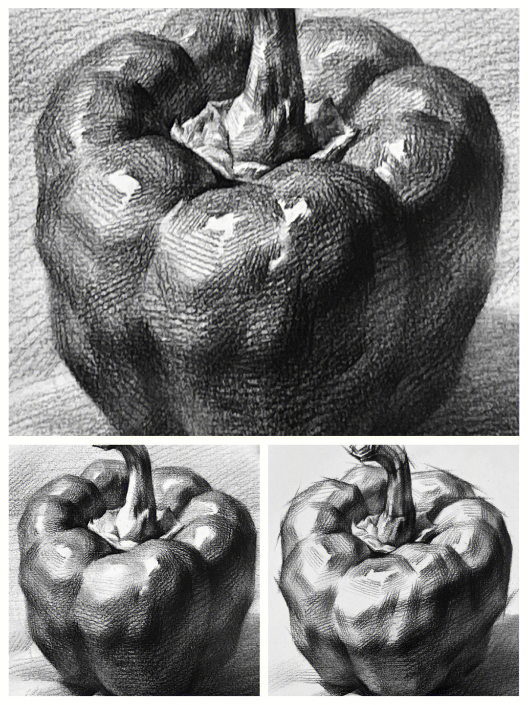 辣椒结构素描图片