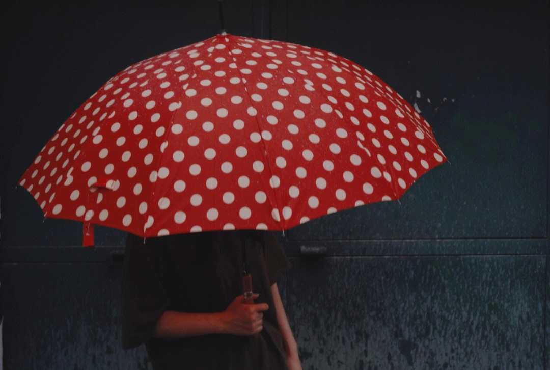 红伞伞白杆杆完整版图片