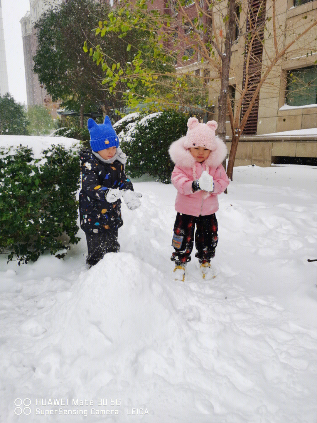 今天下楼堆雪人儿了吗