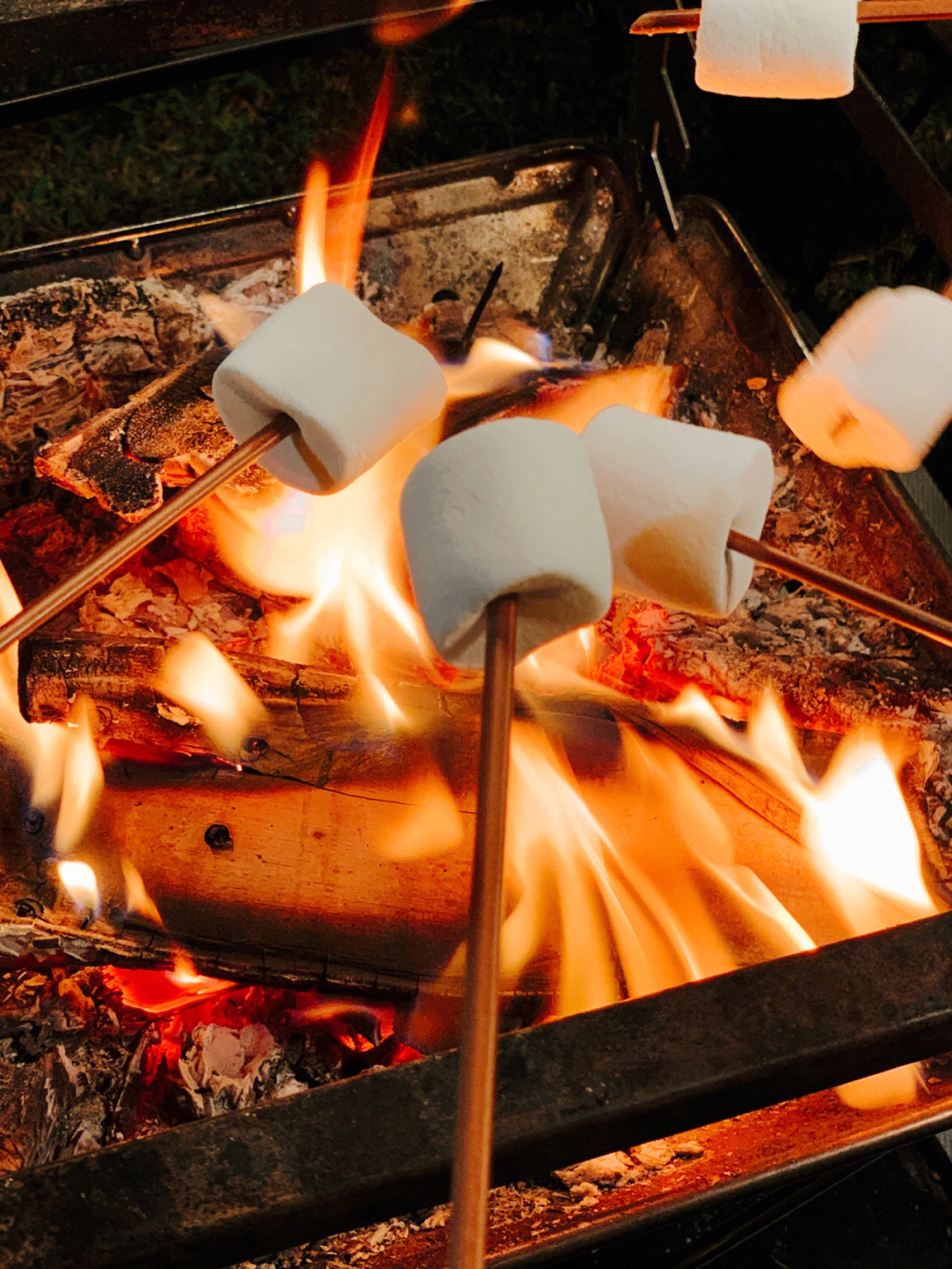 新买了bbq的签子,专门用来烤棉花糖～甜过初恋啊……拍摄从下午五点到