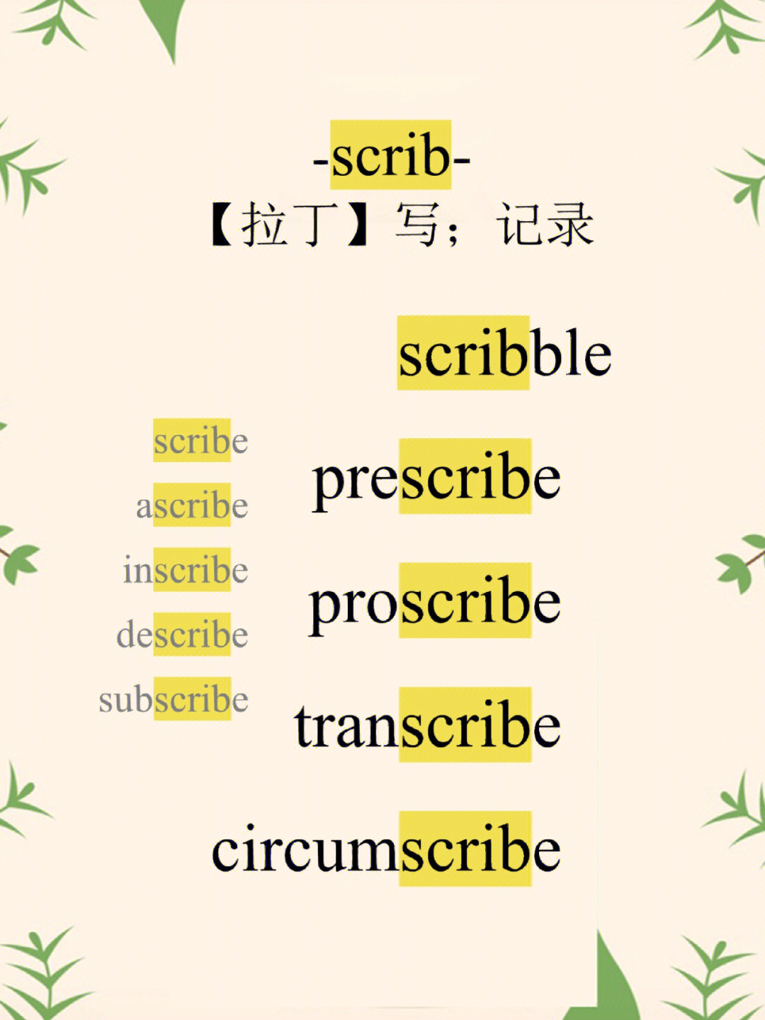 scribe lane图片