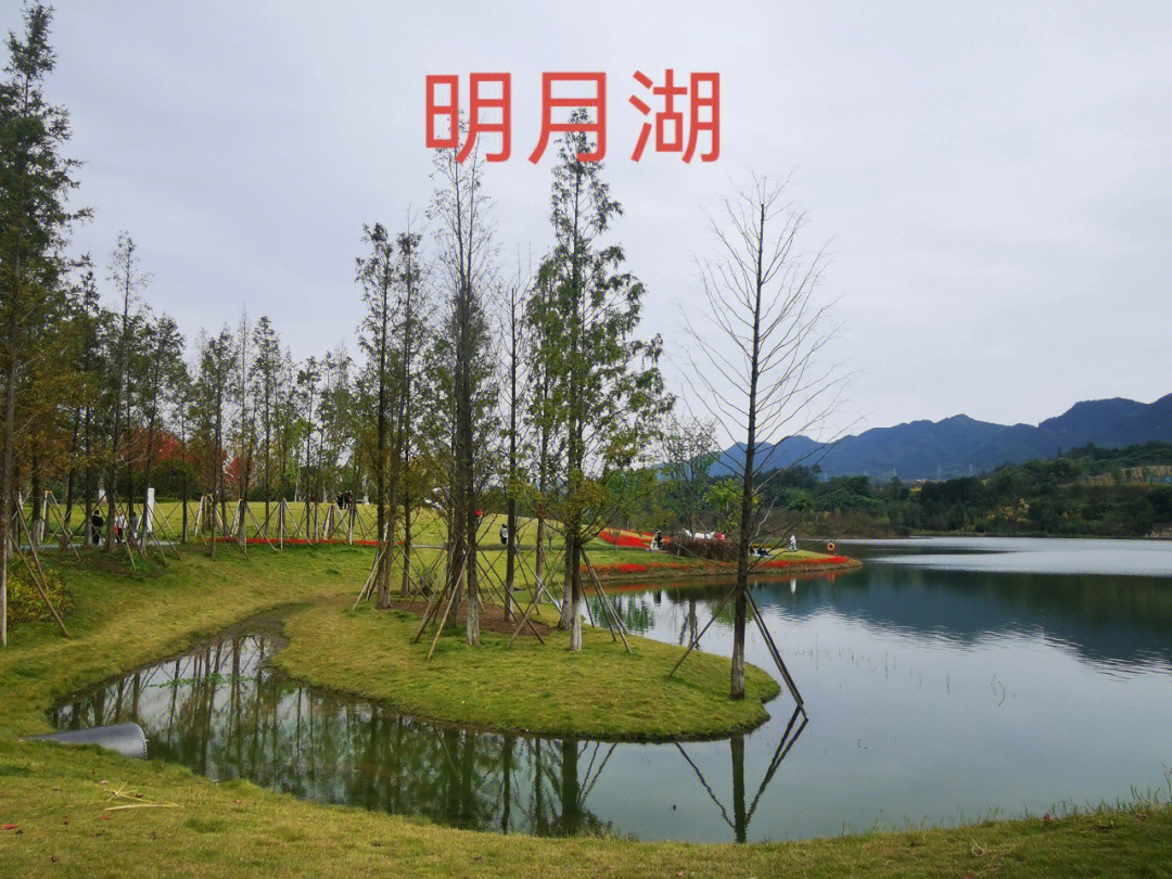 重庆明月湖有多大图片