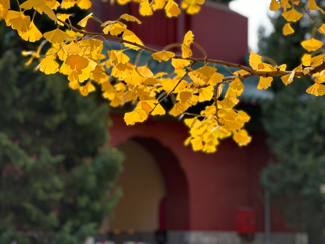 北京月坛公园景点介绍图片