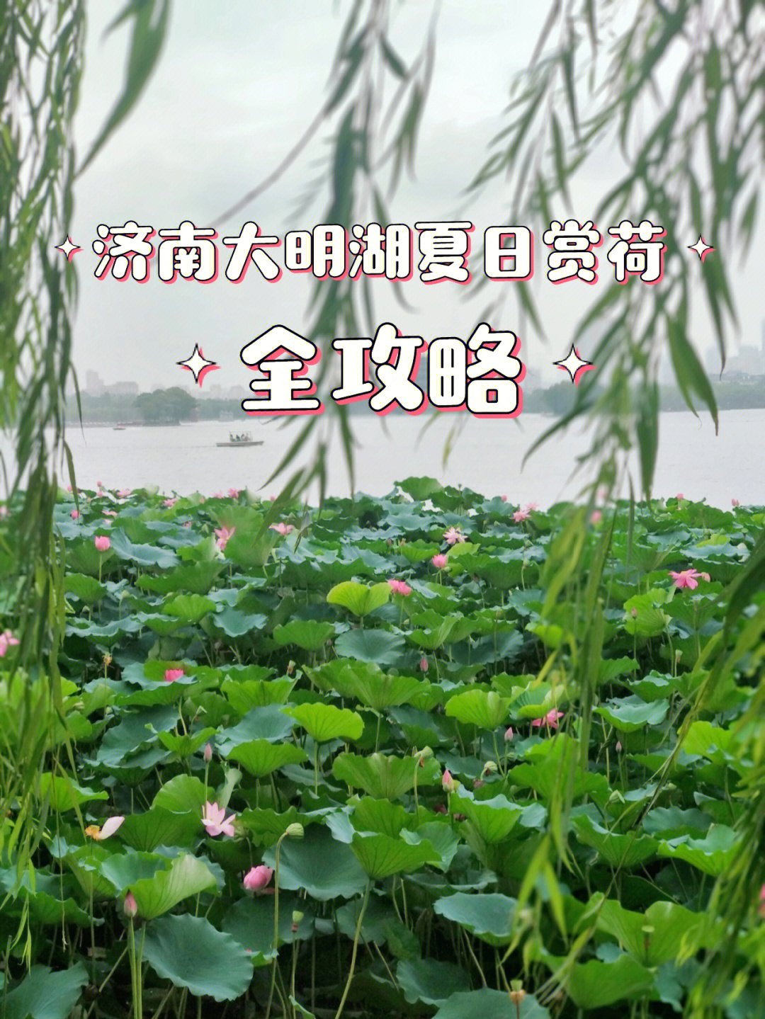 济南大明湖夏日赏荷全攻略