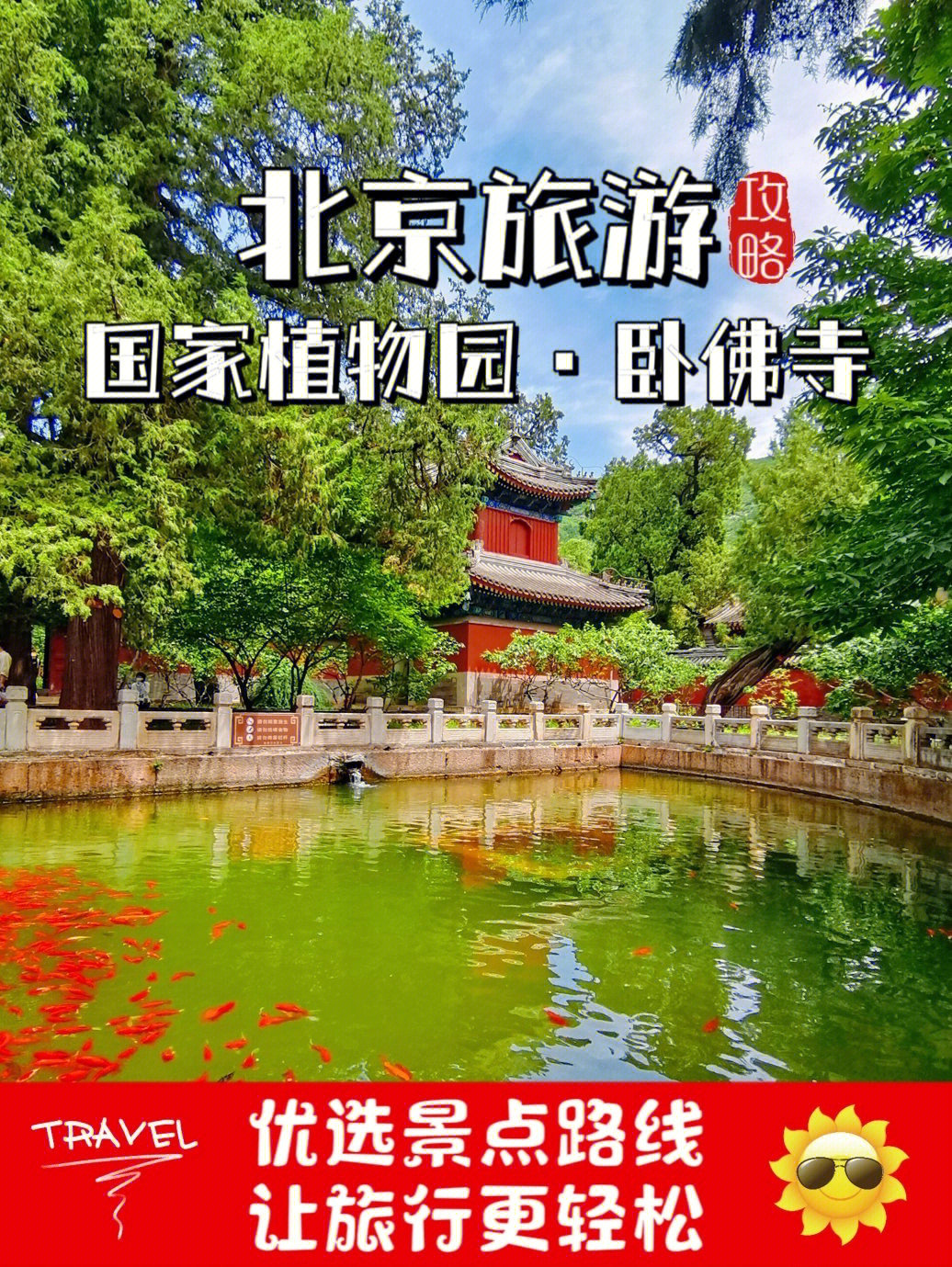 北京植物园天鹅湖介绍图片