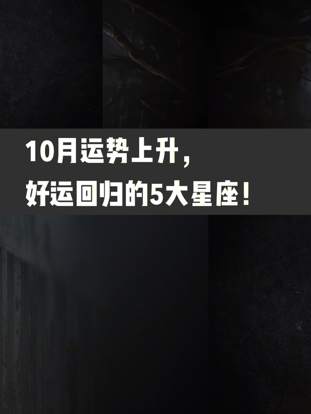 黑色四叶草10月第二季图片