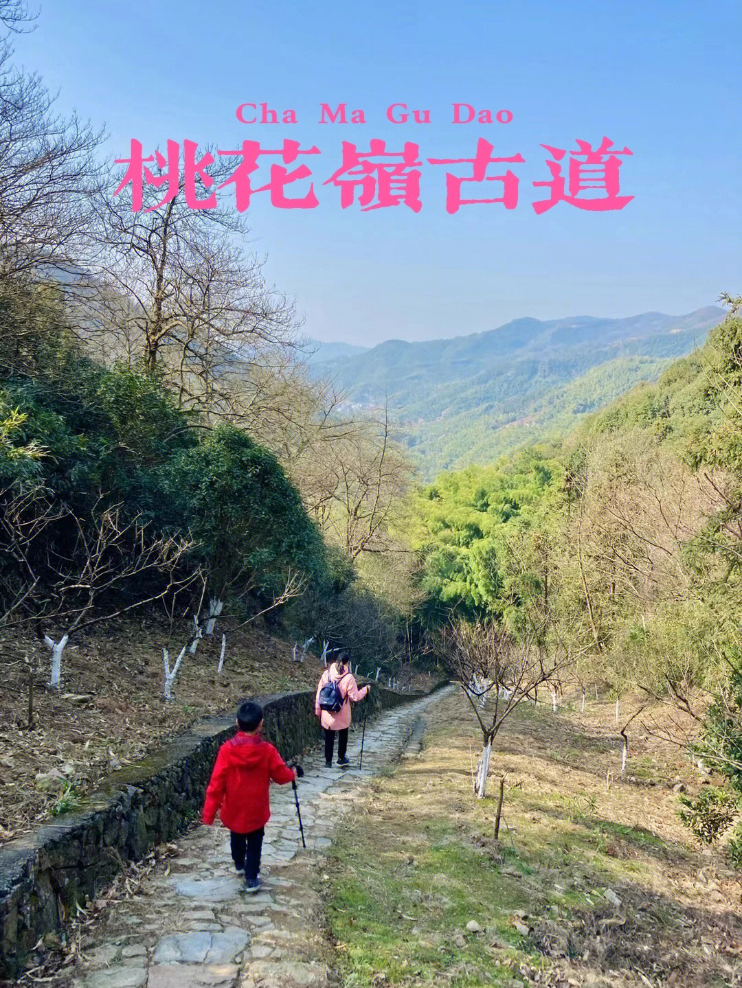 桃花岭古道图片