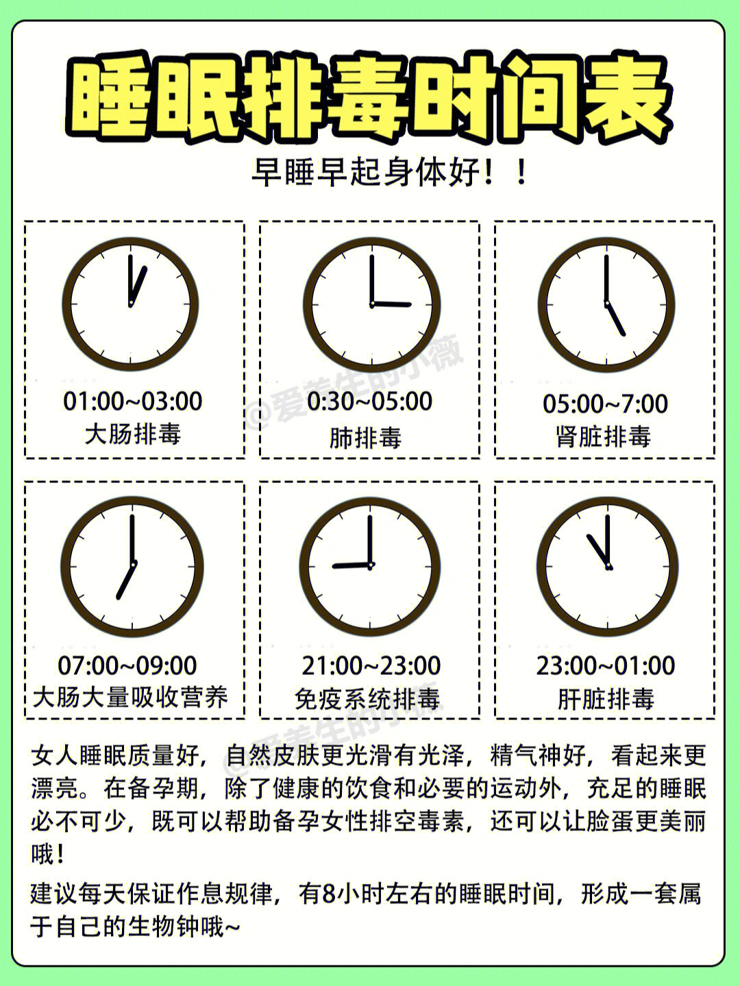 脏器排毒时间表图片