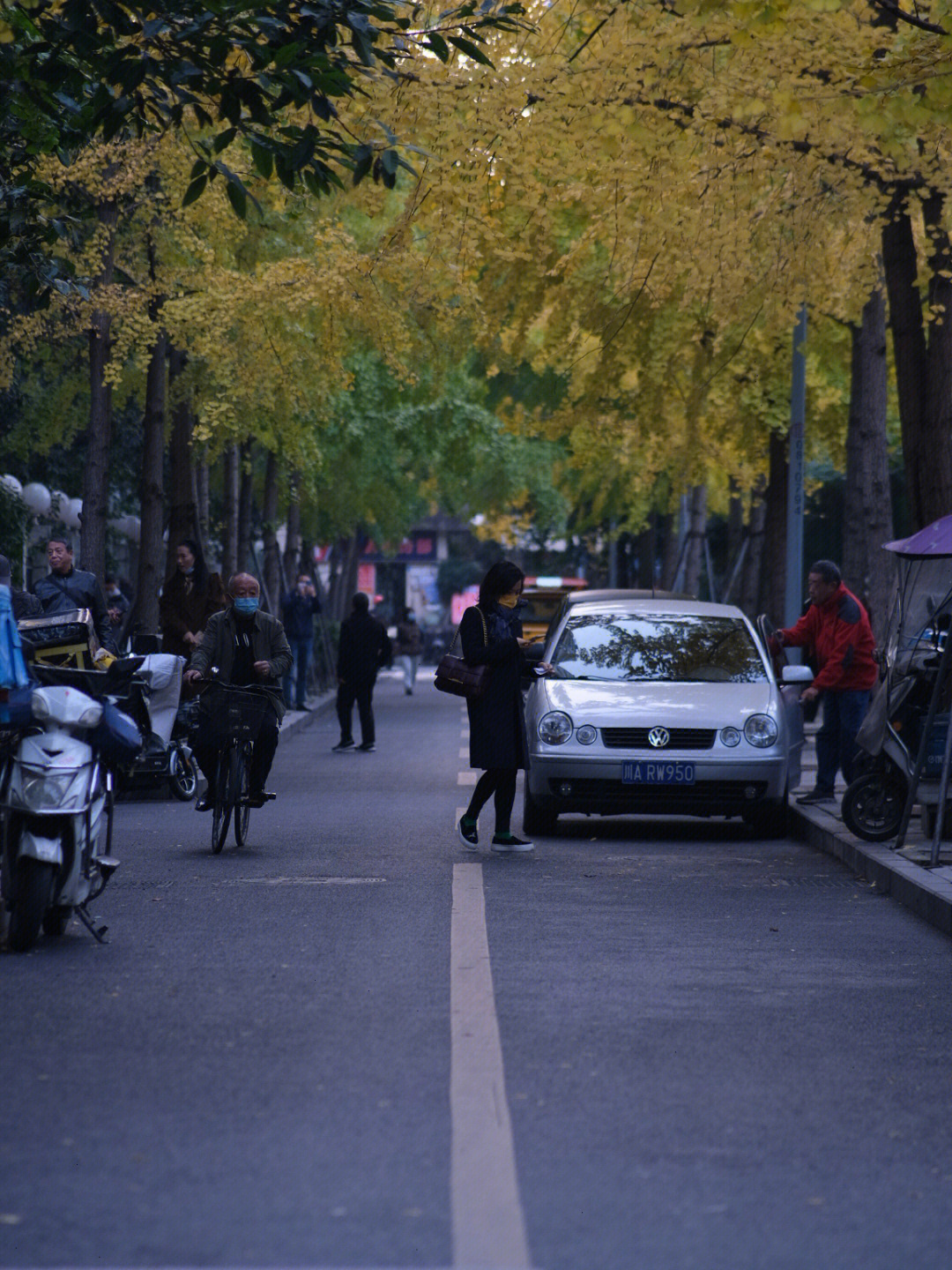 都江堰市银杏街道图片