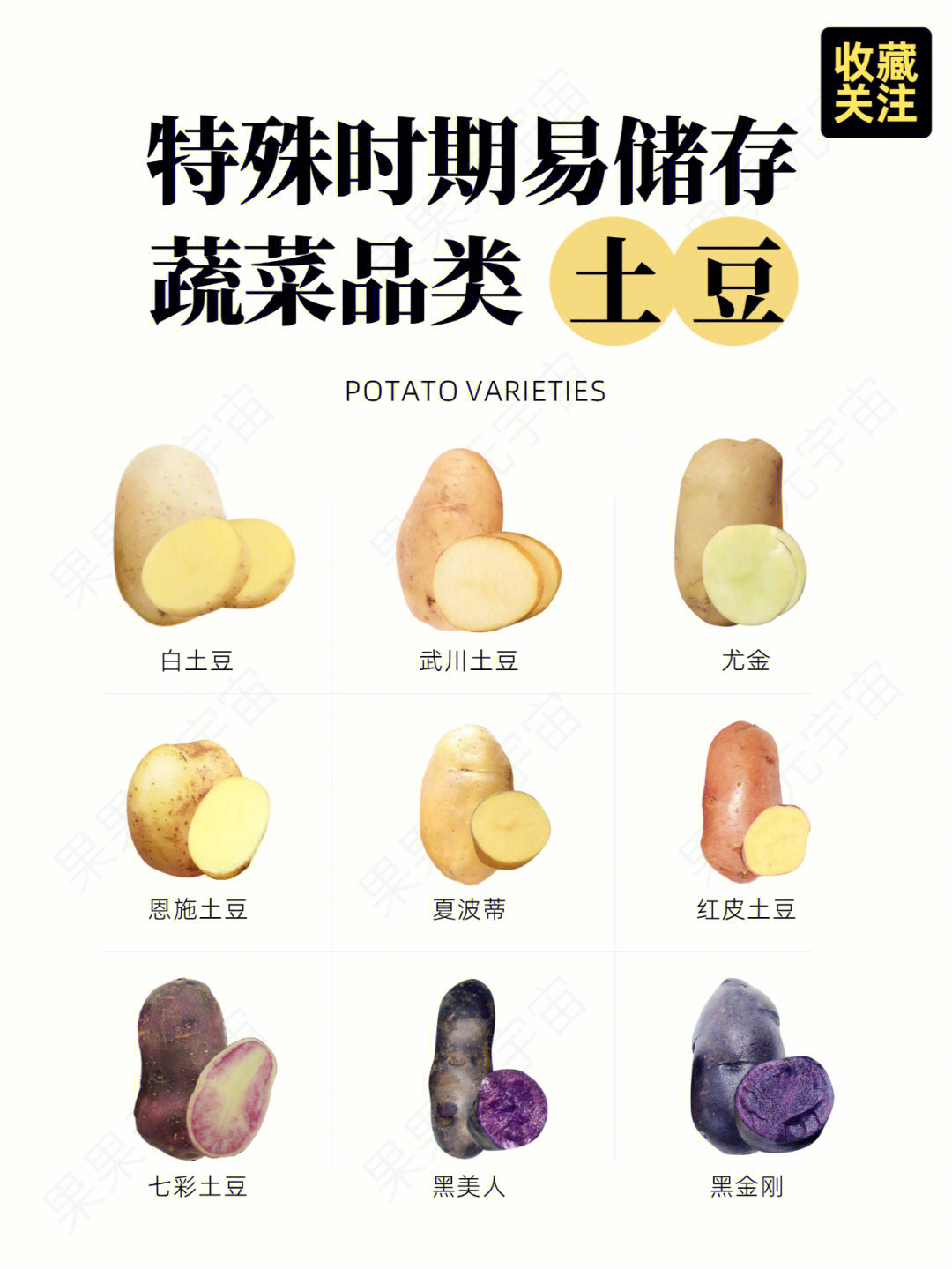 特殊时期易储存蔬菜丨土豆品种大全