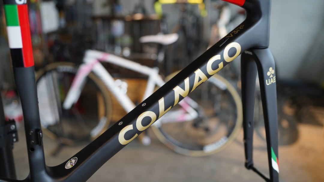 colnagologo图片