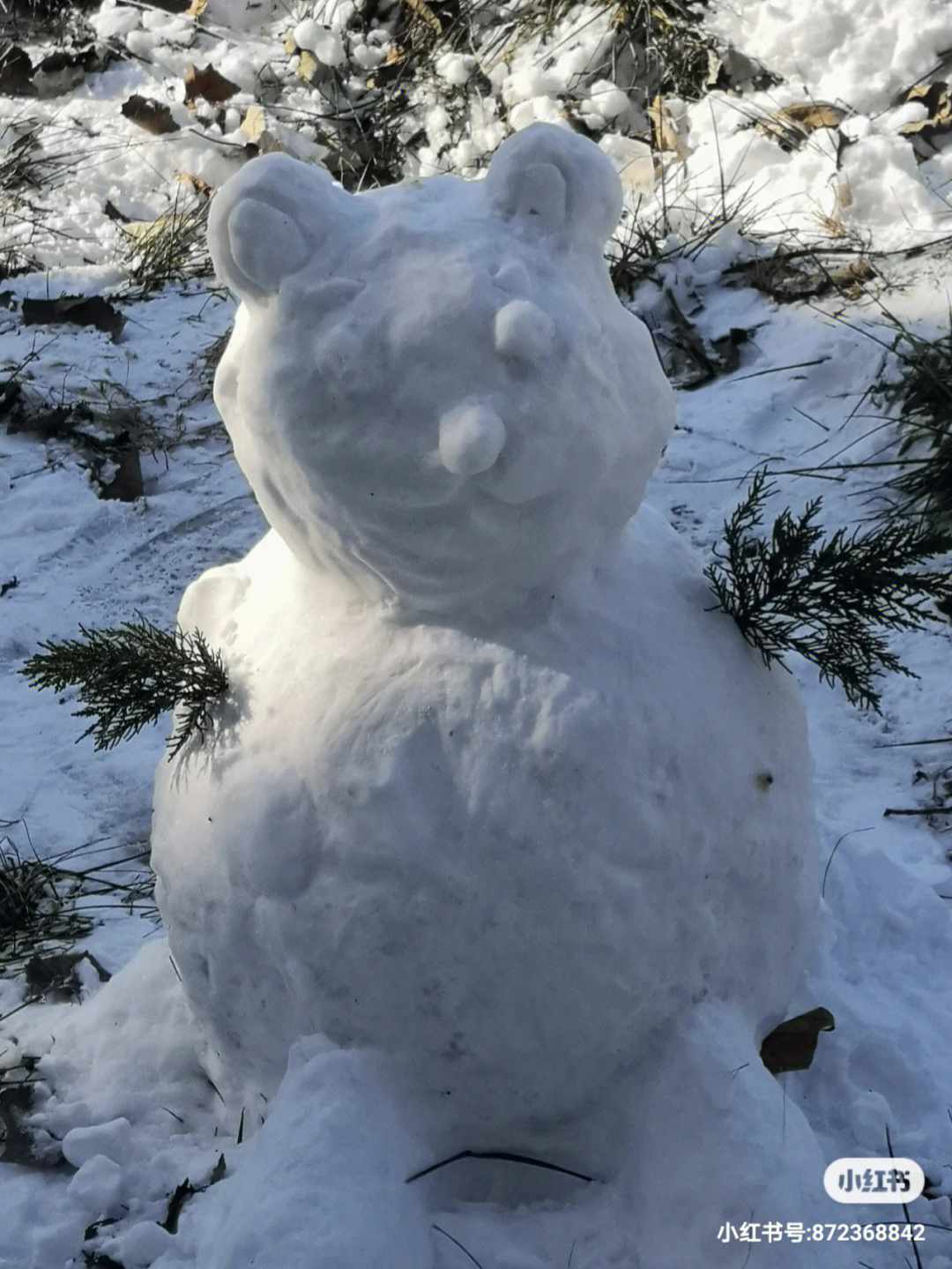 可爱雪人图片真实图片