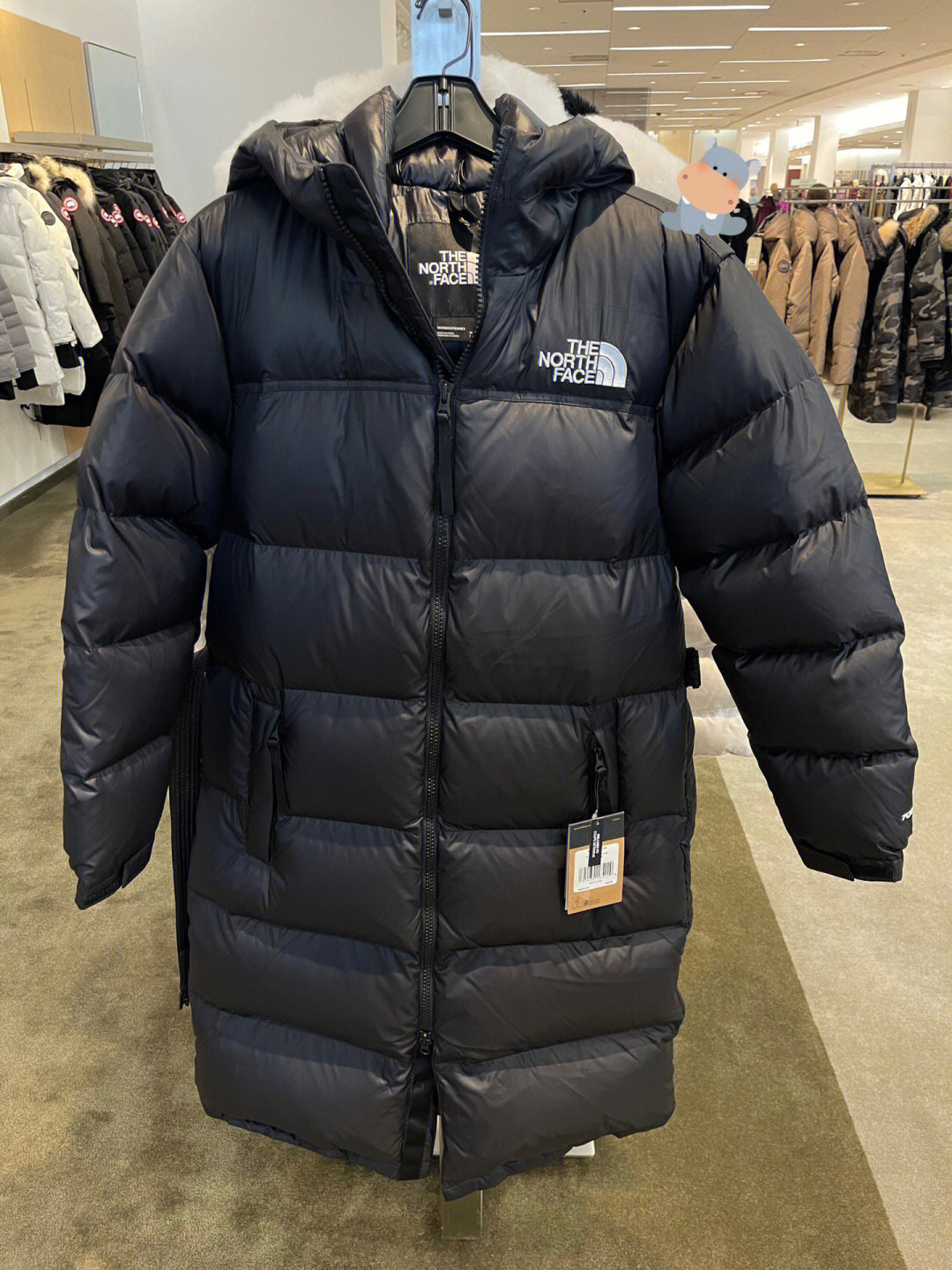 the north face北面1996美版700蓬长款羽绒服6015601560