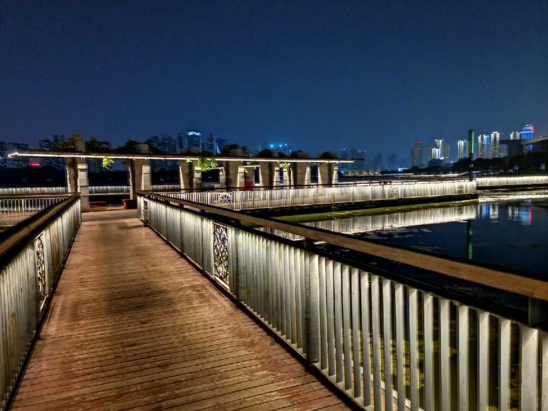 月湖风景区夜景