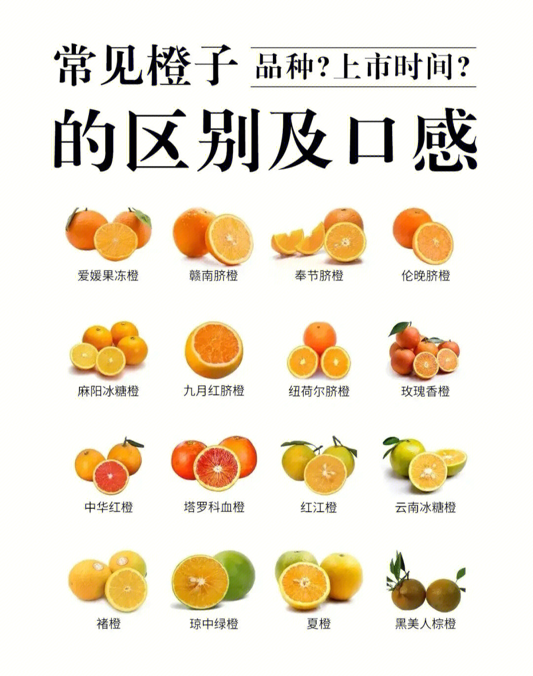 橙子的区别及口感