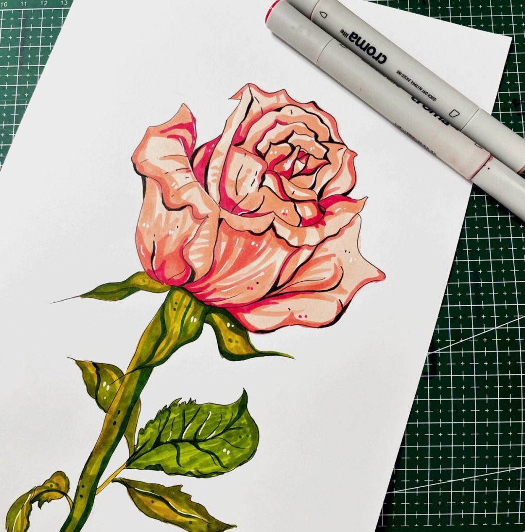 玫瑰花怎么画 马克笔图片