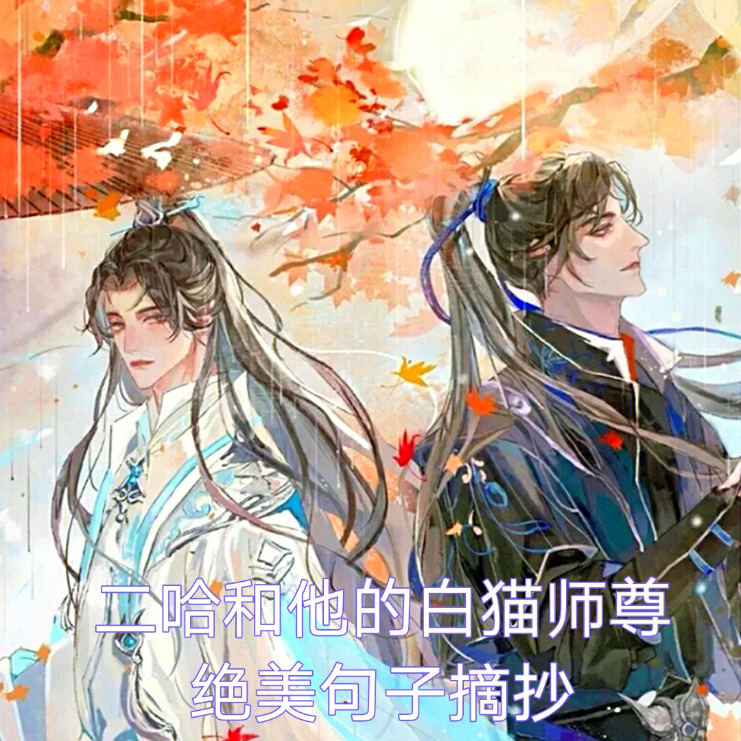 小说《二哈和他的白猫师尊—摘抄