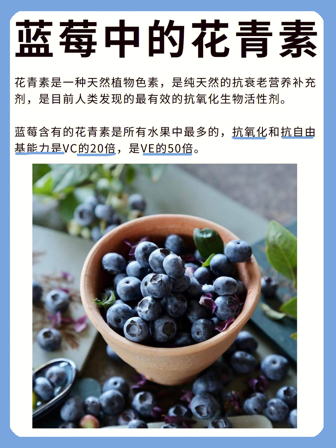 超级食物no1蓝莓blueberry