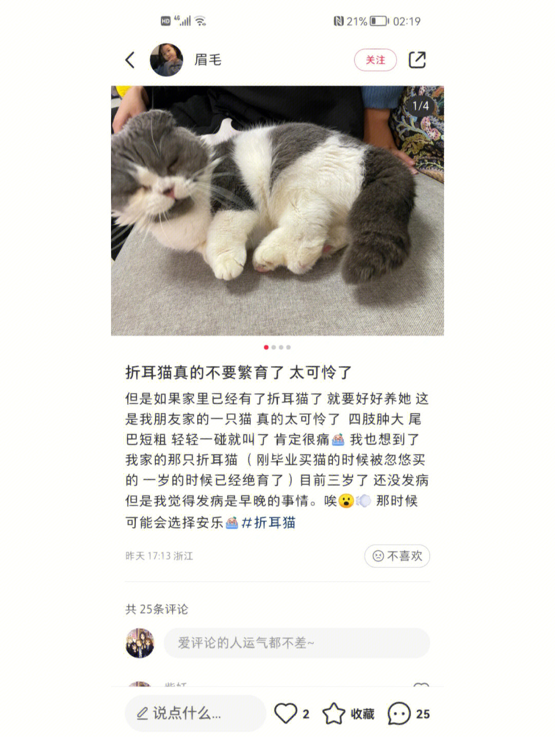 折耳猫软骨病发病症状图片