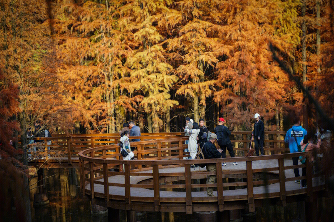 青山湖