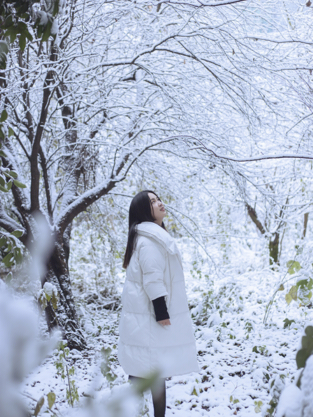 美女看下雪背影图片图片