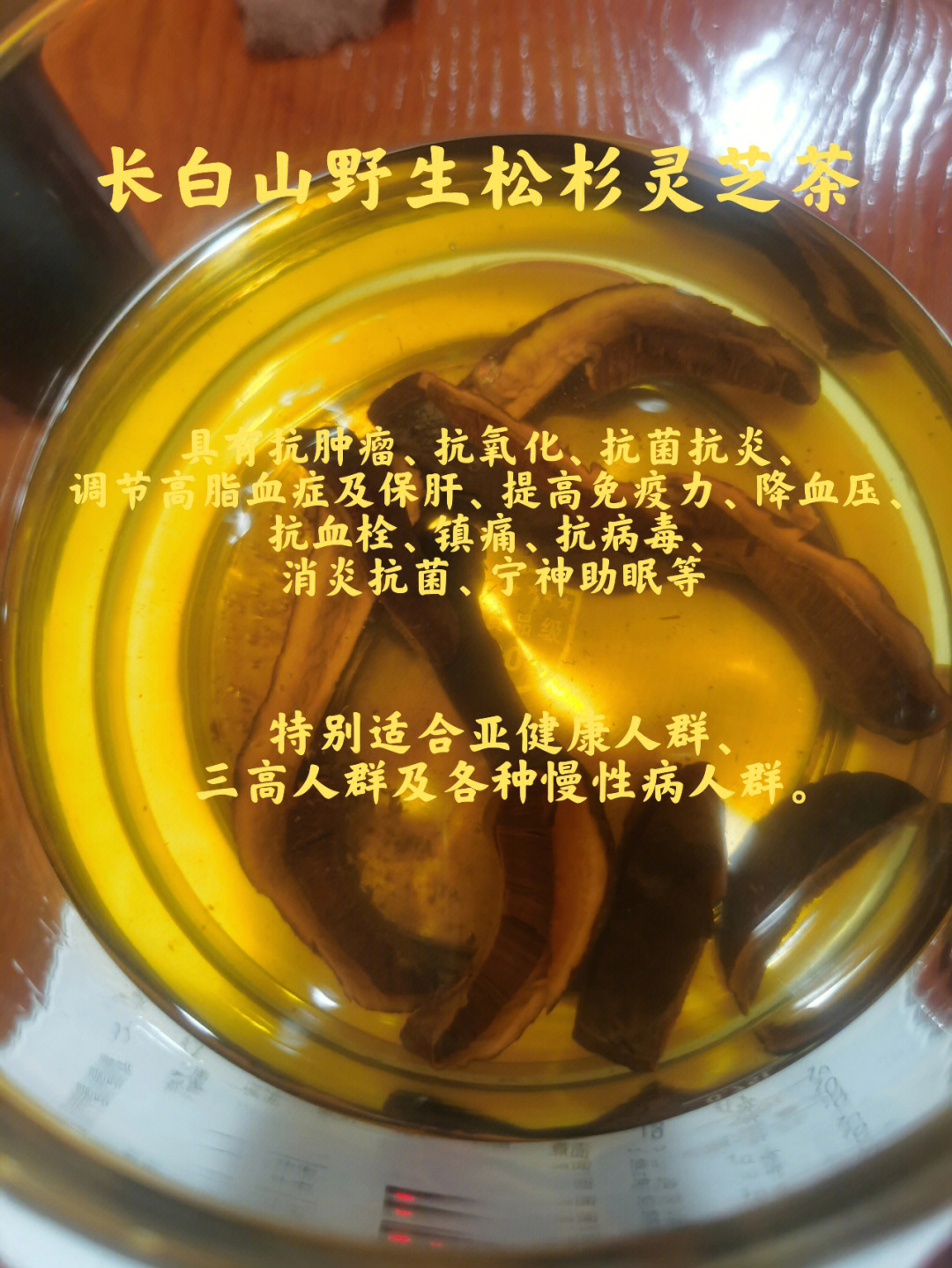 长白山网红同款野生松杉灵芝菌味清香不苦