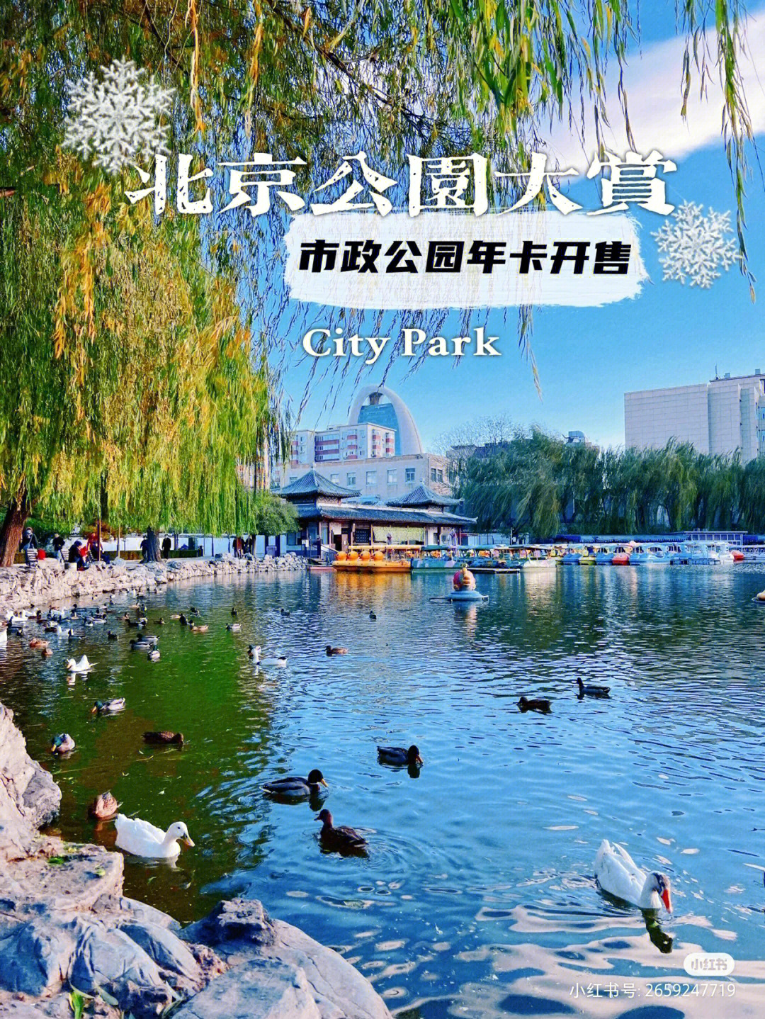 北京动物园预约图片