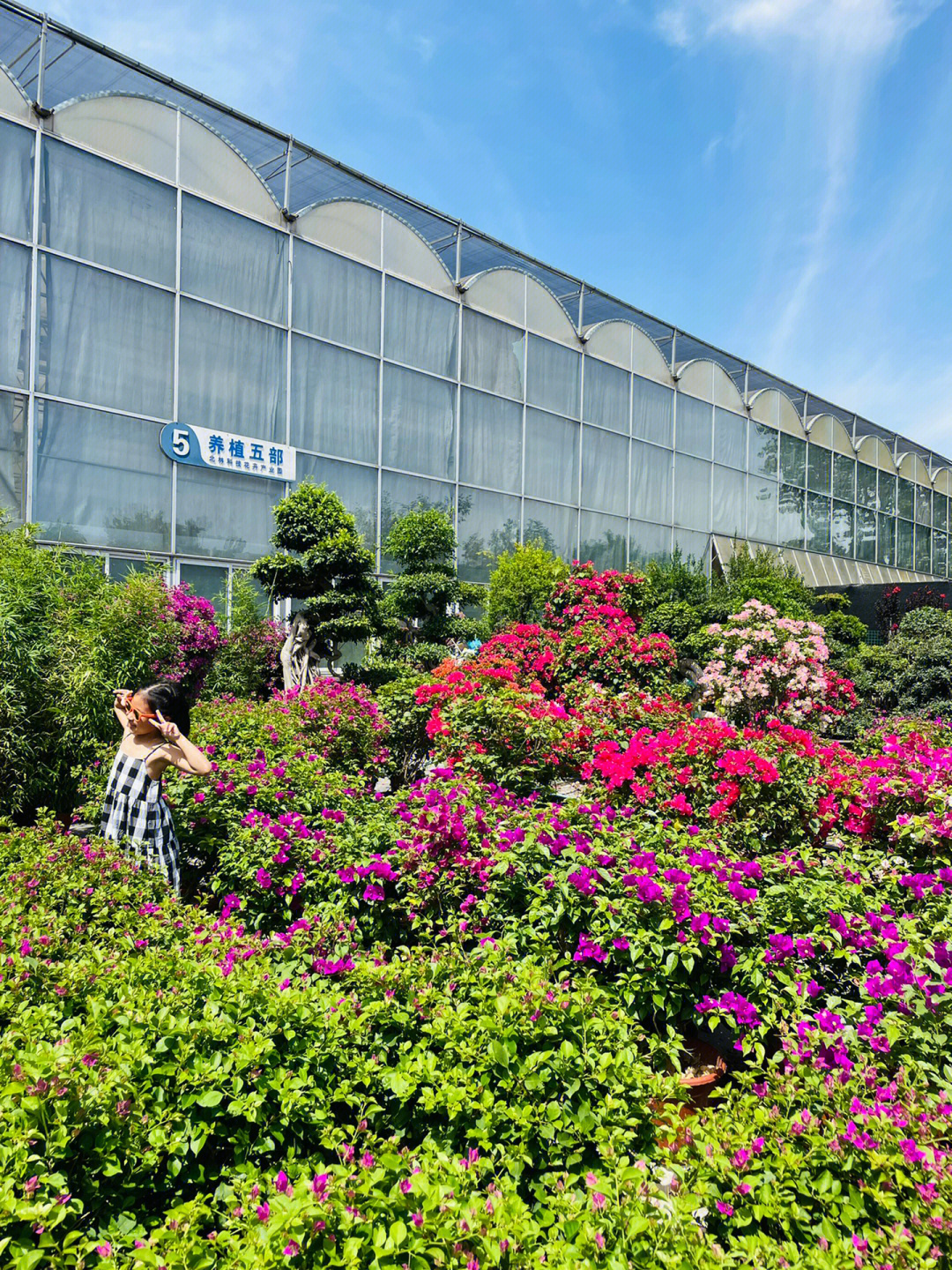 西安花卉种植基地图片