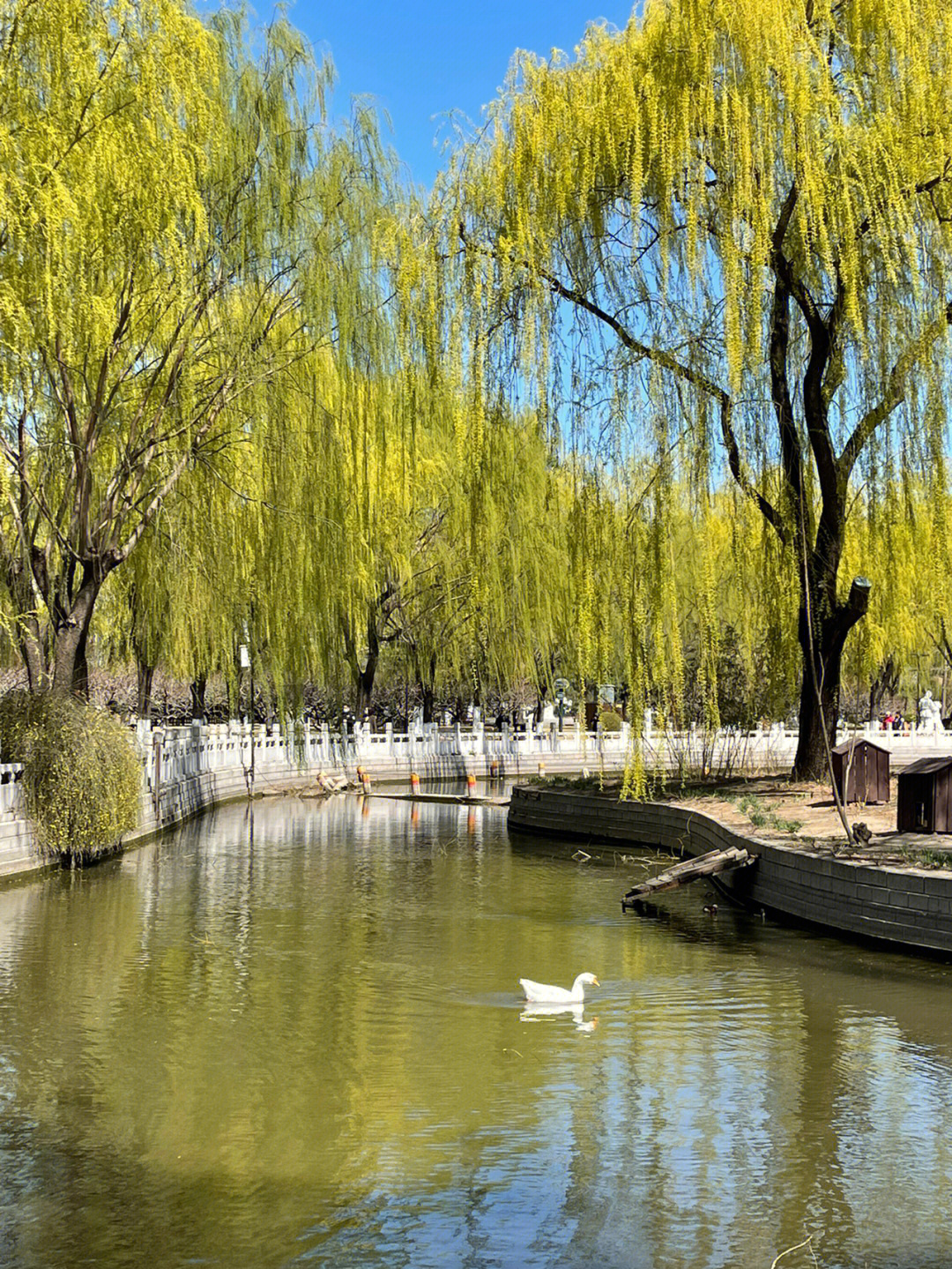北京小众城市公园