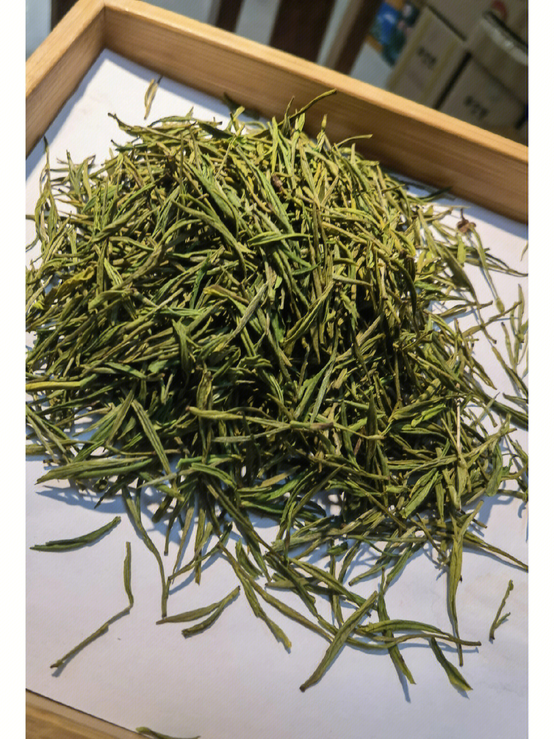 安吉白茶#明前茶#夏季必备茶安吉白茶