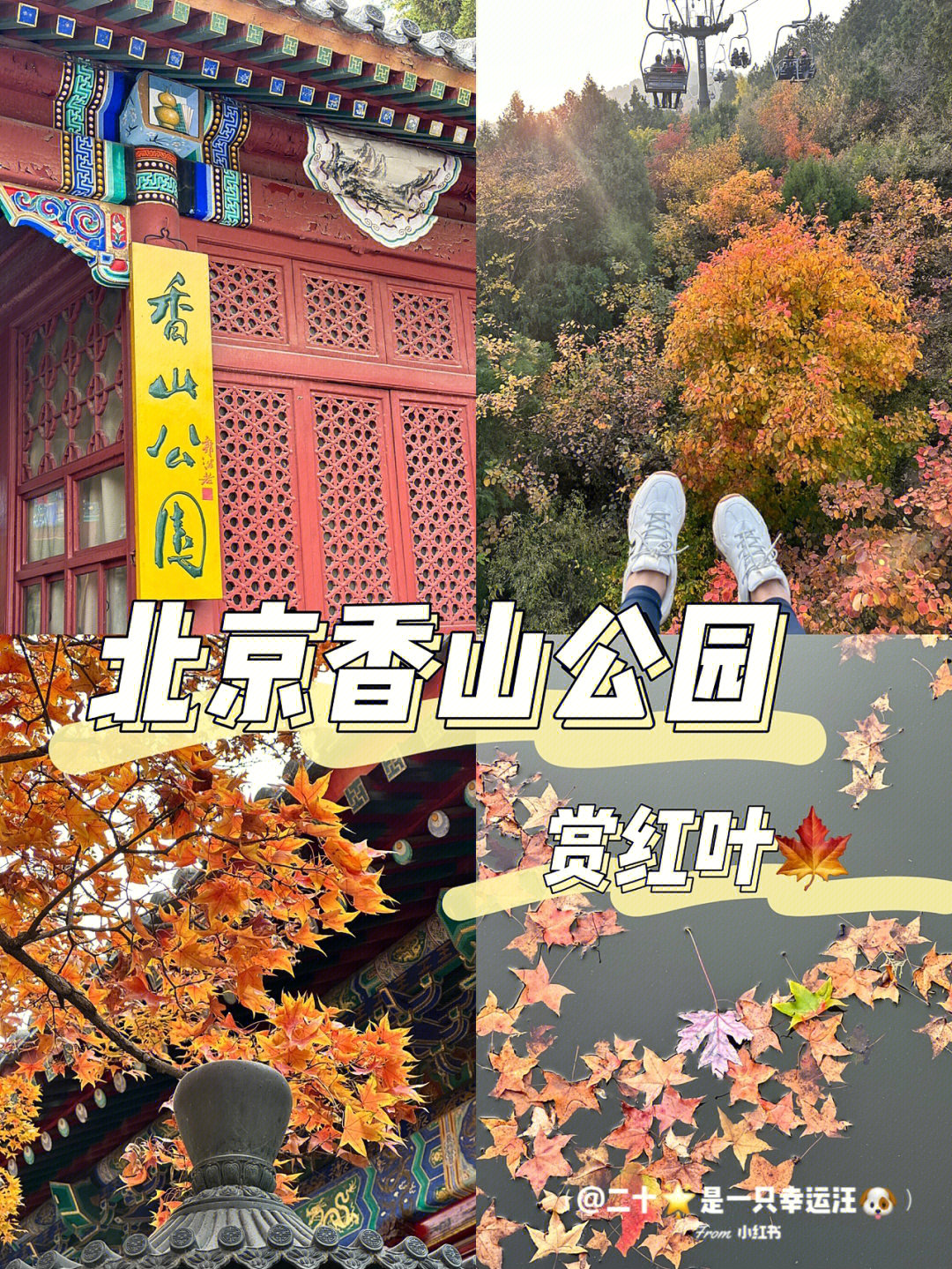 香山公园预约图片