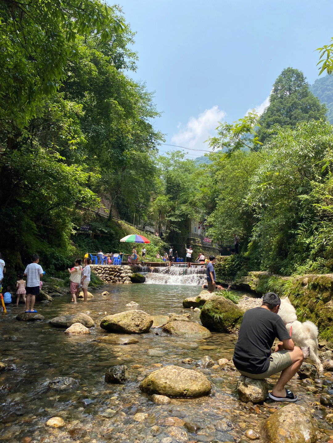 北京云湖森林公园图片